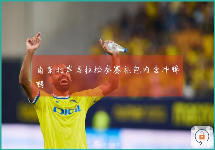 南京北岸马拉松参赛礼包内含冲锋鸭